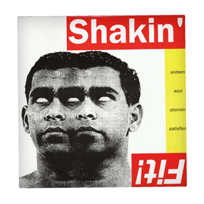 Shakin' Fit